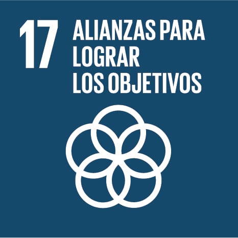 17 - Alianzas Para Lograr los Objetivos