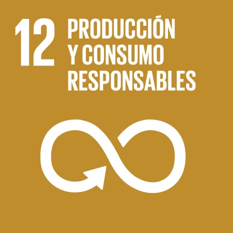 12 - Producción y Consumo Responsables